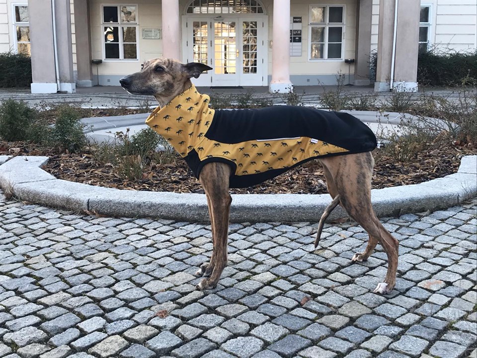 Náhled ProChrta.cz Svetr MUSTARD S CHRTY