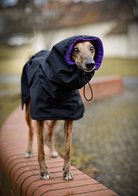 Náhled ProChrta.cz Bunda zimní softshell EVEREST 50 cm