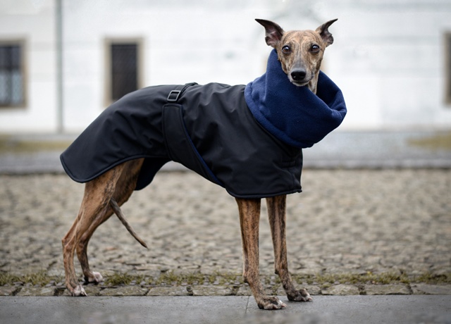 Náhled ProChrta.cz Bunda zimní softshell EVEREST 75 cm