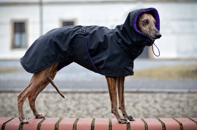 Náhled ProChrta.cz Bunda zimní softshell EVEREST 85 cm
