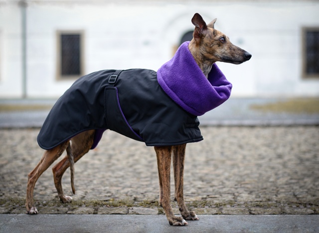 Náhled ProChrta.cz Bunda zimní softshell EVEREST 90 cm