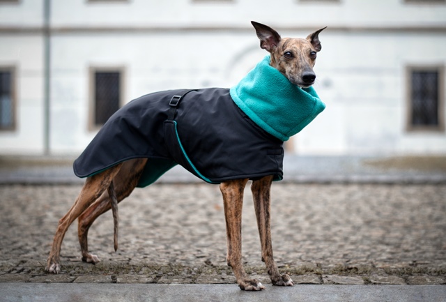 Náhled ProChrta.cz Bunda zimní softshell EVEREST 100 cm