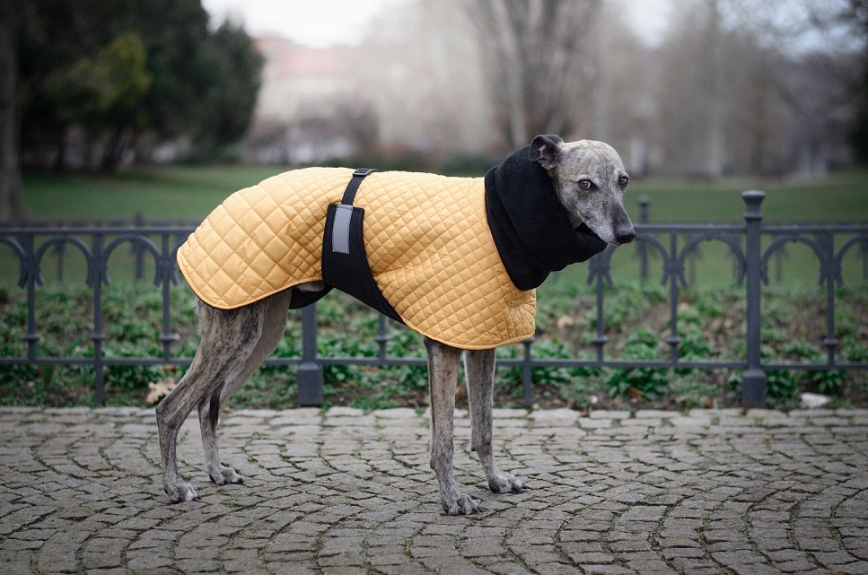 Náhled ProChrta.cz Bunda zimní prošev/softshell MUSTARD 38 cm