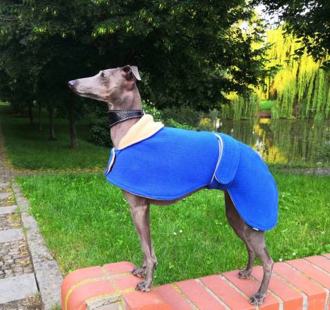 Náhled ProChrta.cz Sportovní fleecová bunda TRENDY