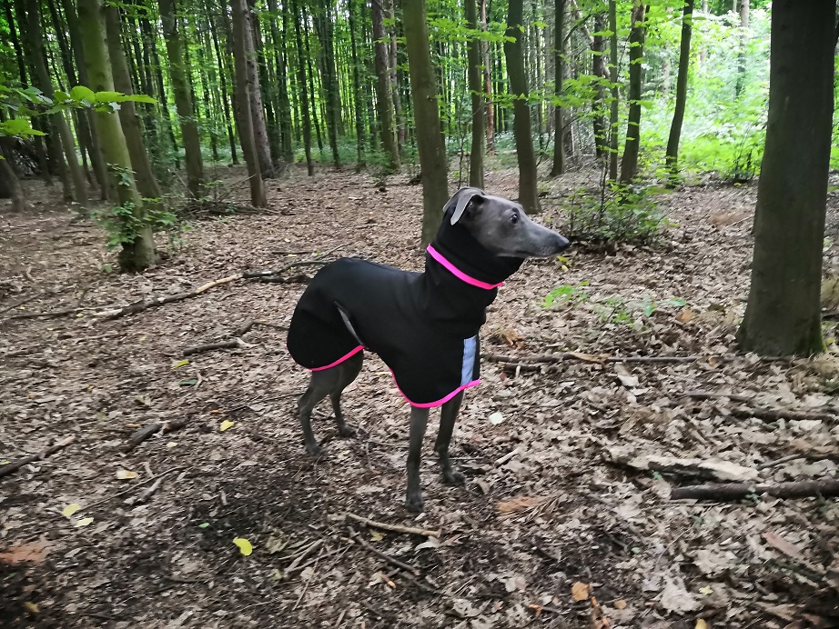 Náhled ProChrta.cz Pláštěnka softshellová FANTASY