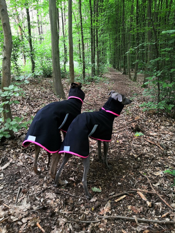 Náhled ProChrta.cz Pláštěnka softshellová FANTASY