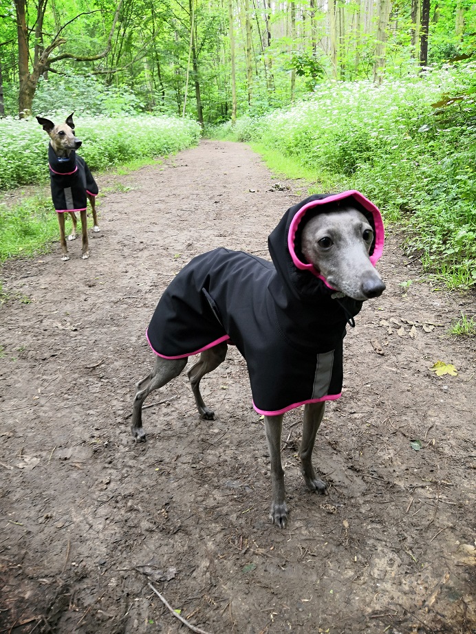 Náhled ProChrta.cz Pláštěnka softshellová FANTASY