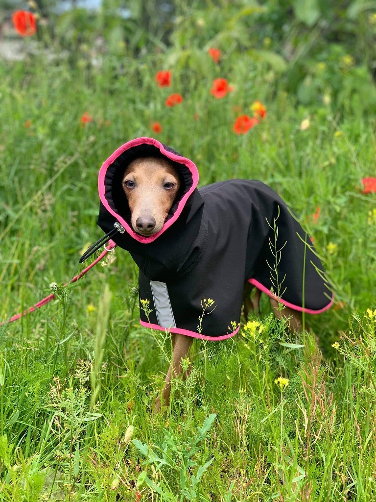 Náhled ProChrta.cz Pláštěnka softshellová FANTASY