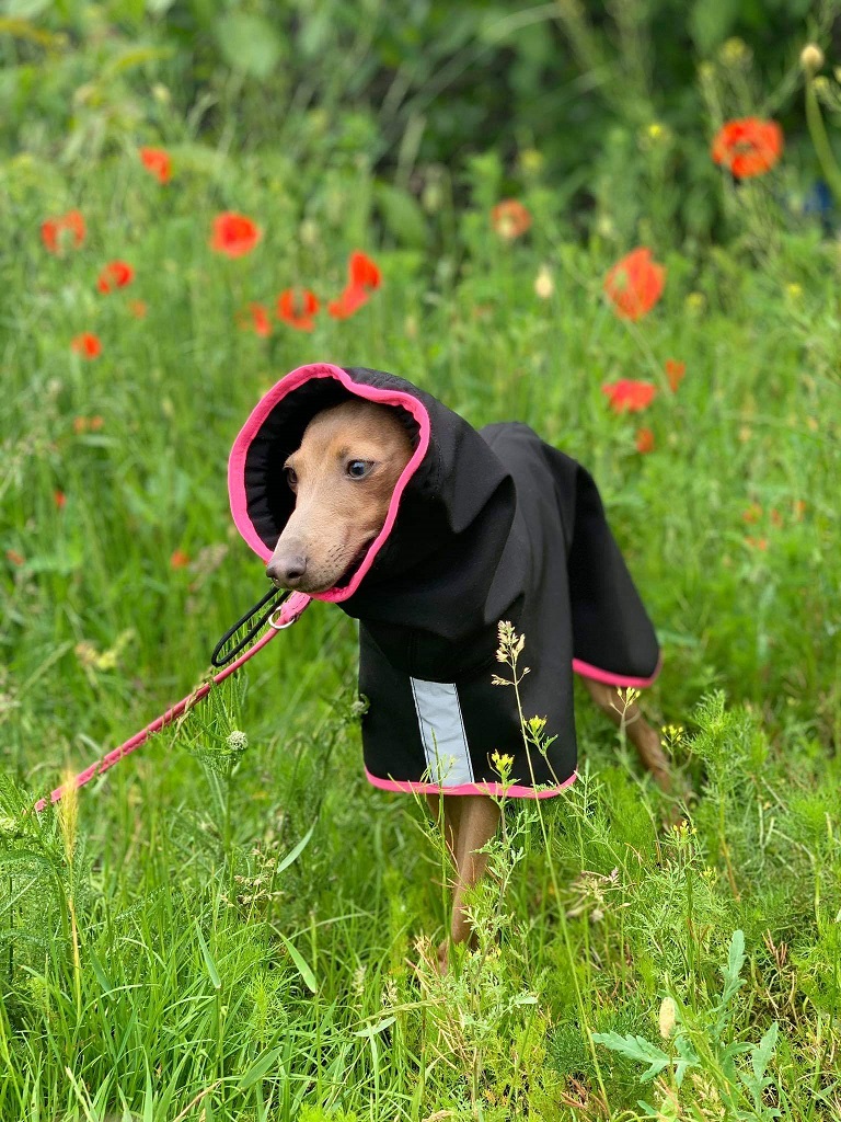 Náhled ProChrta.cz Pláštěnka softshellová FANTASY