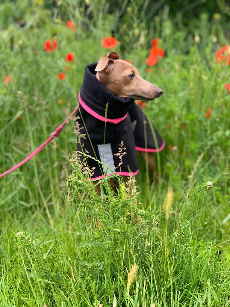 Náhled ProChrta.cz Pláštěnka softshellová FANTASY