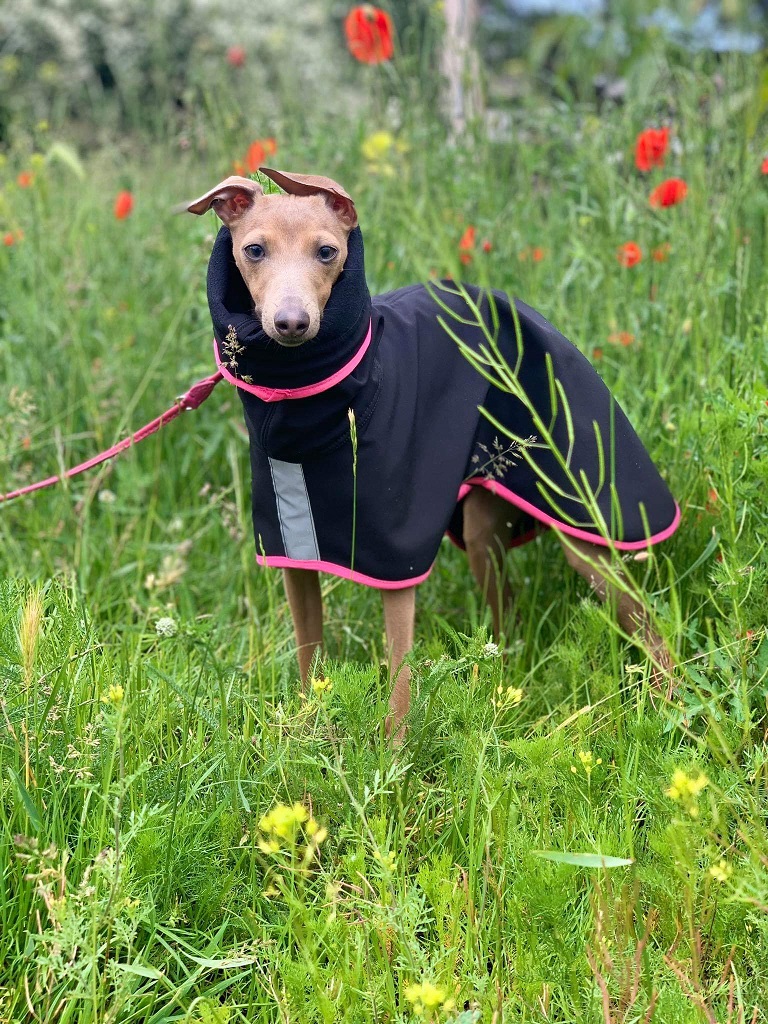 Náhled ProChrta.cz Pláštěnka softshellová FANTASY