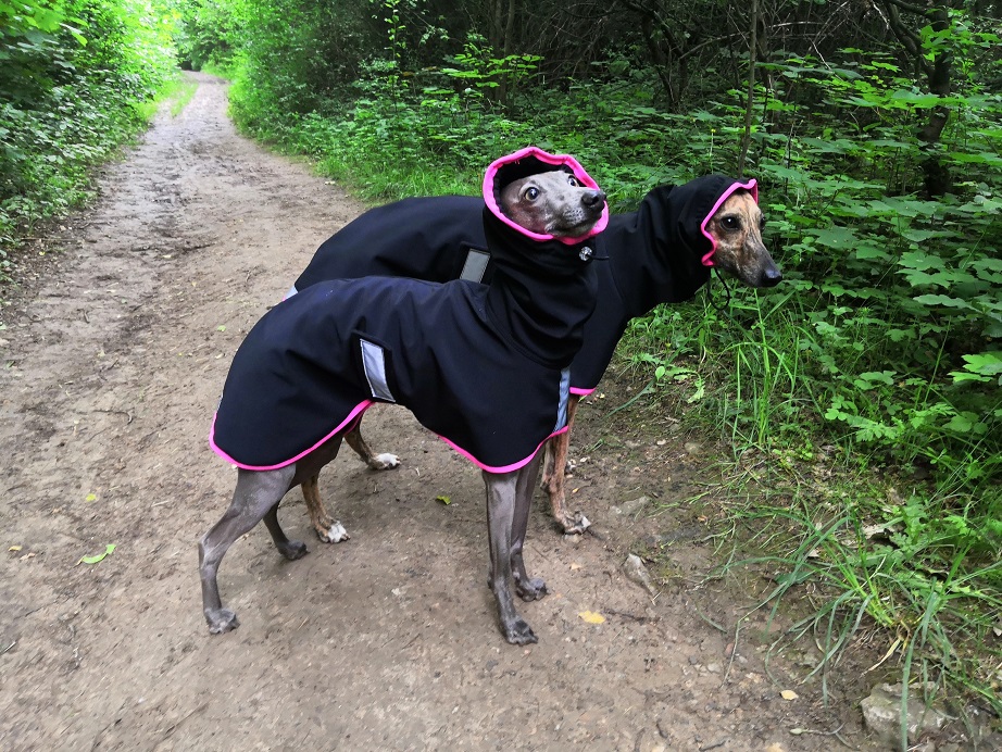 Náhled ProChrta.cz Pláštěnka softshellová FANTASY