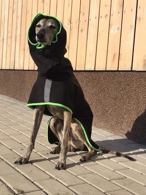 Náhled ProChrta.cz Pláštěnka softshellová FANTASY