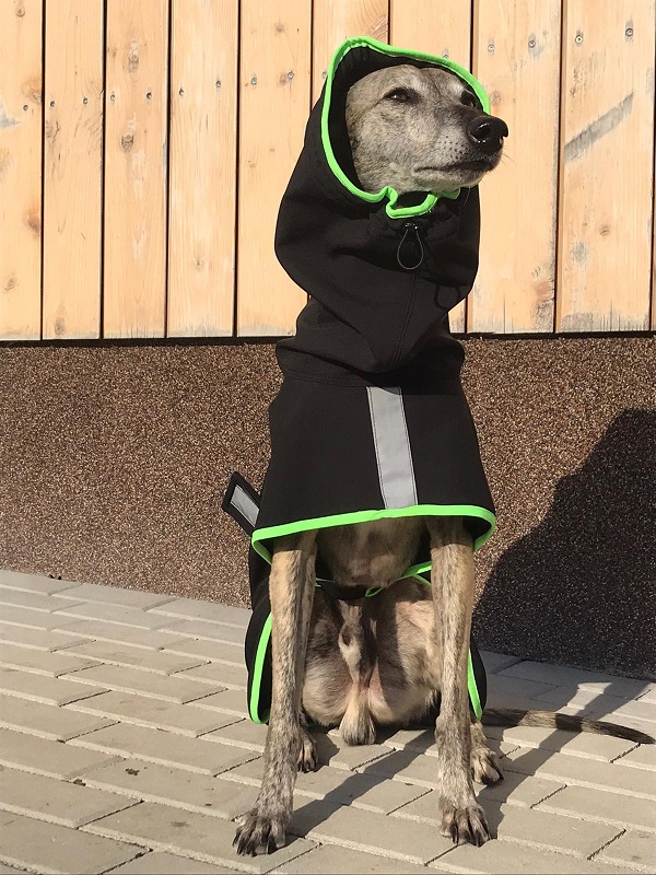 Náhled ProChrta.cz Pláštěnka softshellová FANTASY