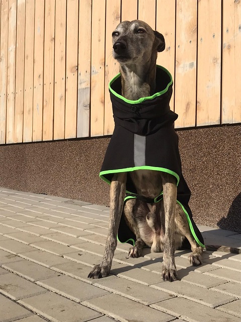 Náhled ProChrta.cz Pláštěnka softshellová FANTASY