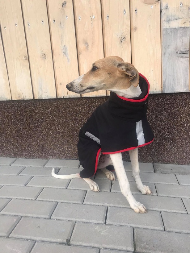 Náhled ProChrta.cz Pláštěnka softshellová FANTASY