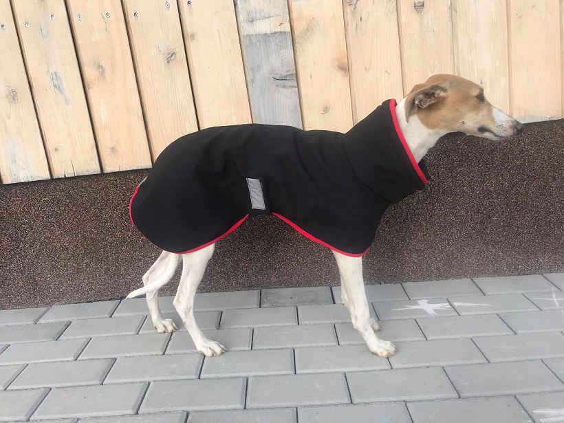 Náhled ProChrta.cz Pláštěnka softshellová FANTASY