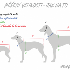 Náhled ProChrta.cz Softshellový kabátek PROTON  100 cm