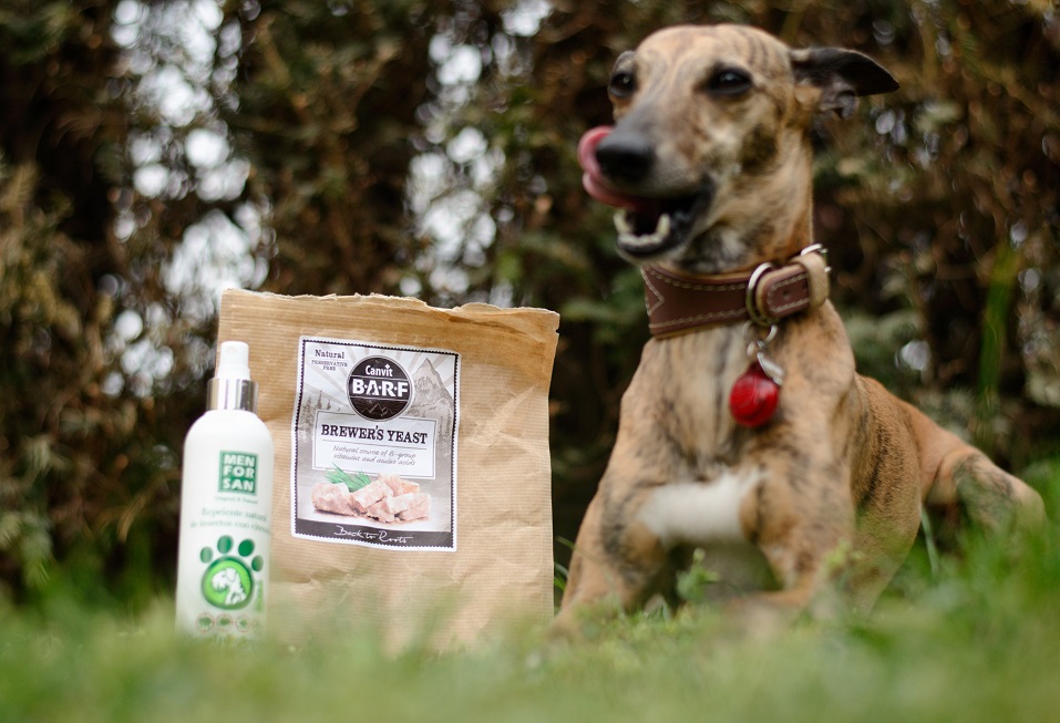 Náhled  Elektronický repelent  Ultrazvukový odpuzovač blech a klíšťat pro psy SKUDO PET DOG