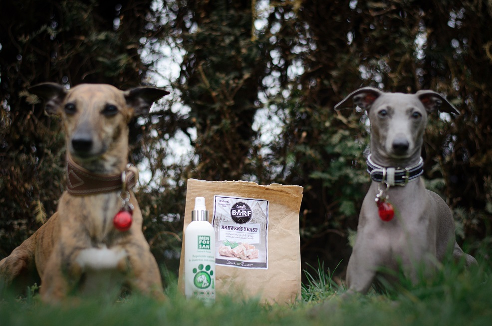 Náhled  Elektronický repelent  Ultrazvukový odpuzovač blech a klíšťat pro psy SKUDO PET DOG