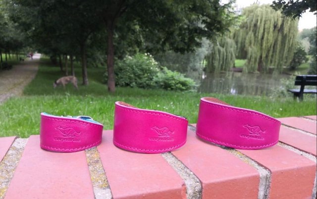 kozeny-obojek-magnifico-l-fuchsia-2072_(1)_(1)_(1).jpeg