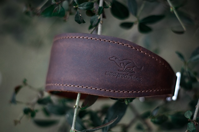 Náhled ProChrta.cz Kožený obojek MAGNIFICO FOREST BROWN L