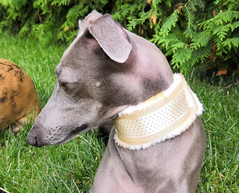 Náhled ProChrta.cz Obojek vypouštěcí FLUFFY