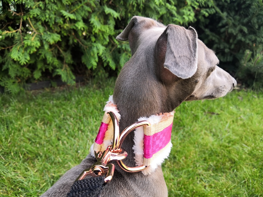 Náhled ProChrta.cz Obojek vypouštěcí FLUFFY