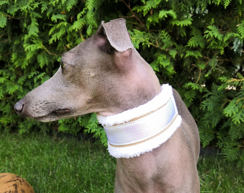 Náhled ProChrta.cz Obojek vypouštěcí FLUFFY