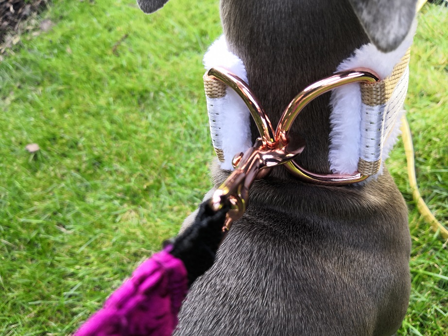 Náhled ProChrta.cz Obojek vypouštěcí FLUFFY