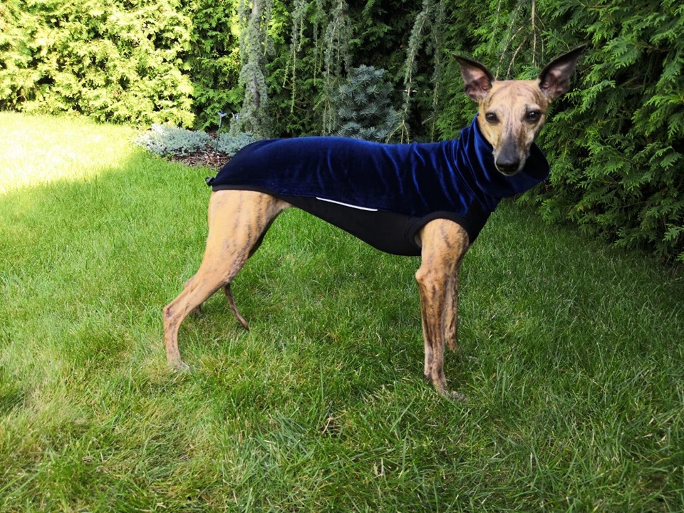 Náhled ProChrta.cz Svetr VELVET STORY v mnoha barvách