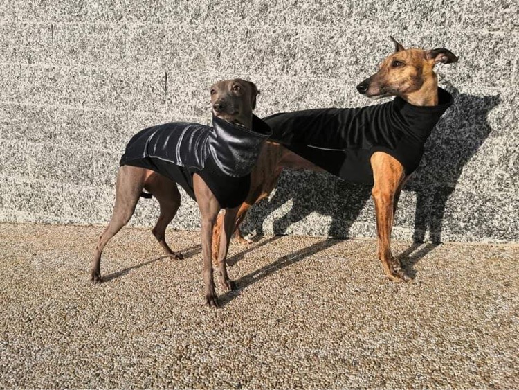 Náhled ProChrta.cz Svetr VELVET STORY v mnoha barvách