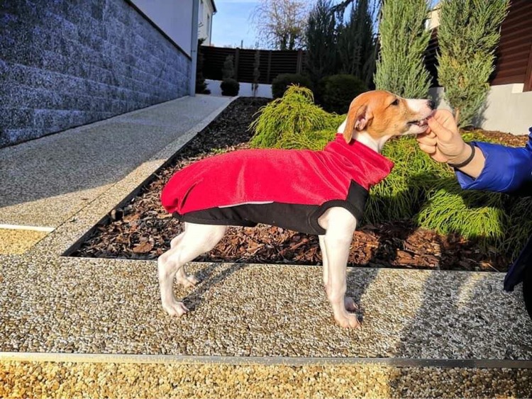 Náhled ProChrta.cz Svetr VELVET STORY v mnoha barvách