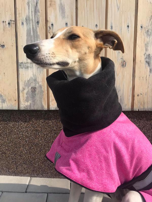 Náhled ProChrta.cz Bunda zimní softshell Black Berry 80 cm