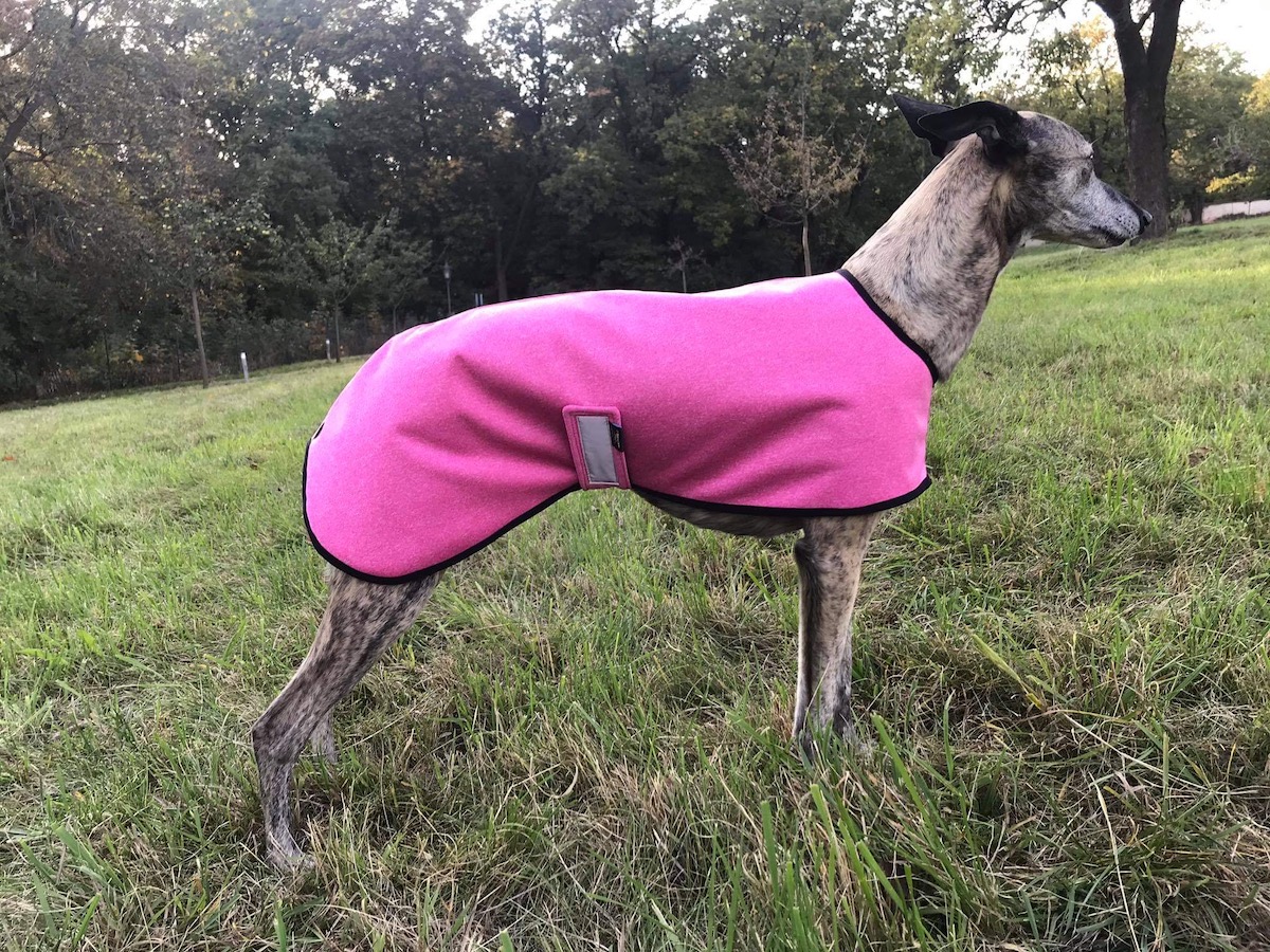 Náhled ProChrta.cz Softshell bunda LIGHT BERRY