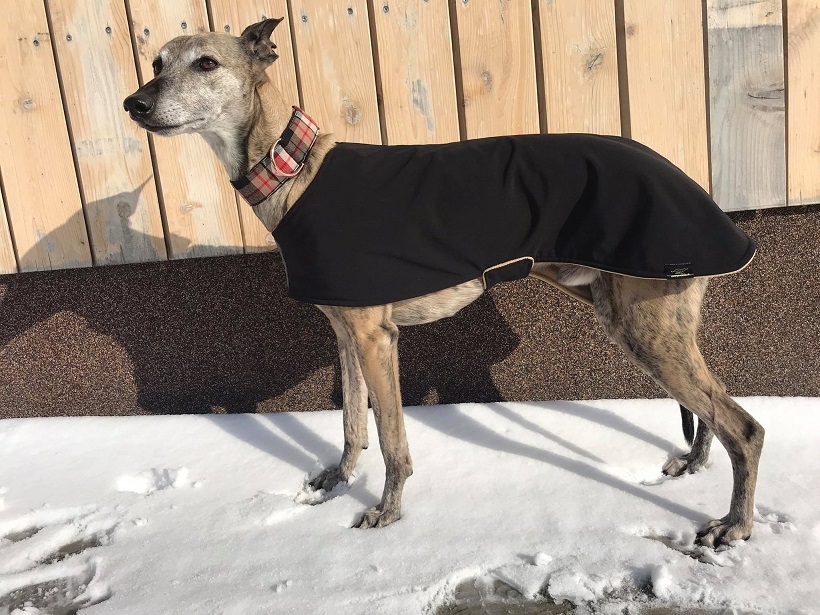 Náhled ProChrta.cz Softshellový kabátek CLASSIC 40 cm