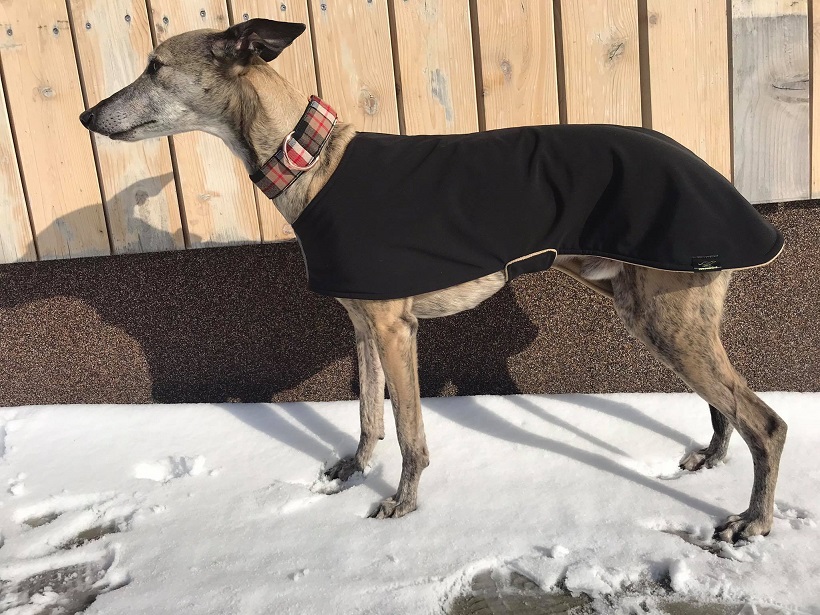 Náhled ProChrta.cz Softshellový kabátek CLASSIC 45 cm