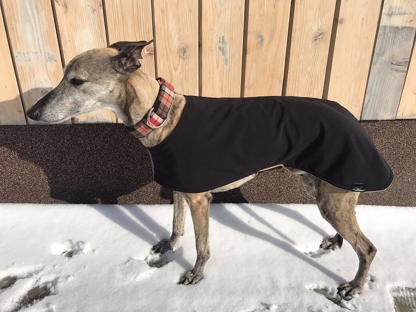 Náhled ProChrta.cz Softshellový kabátek CLASSIC 90 cm