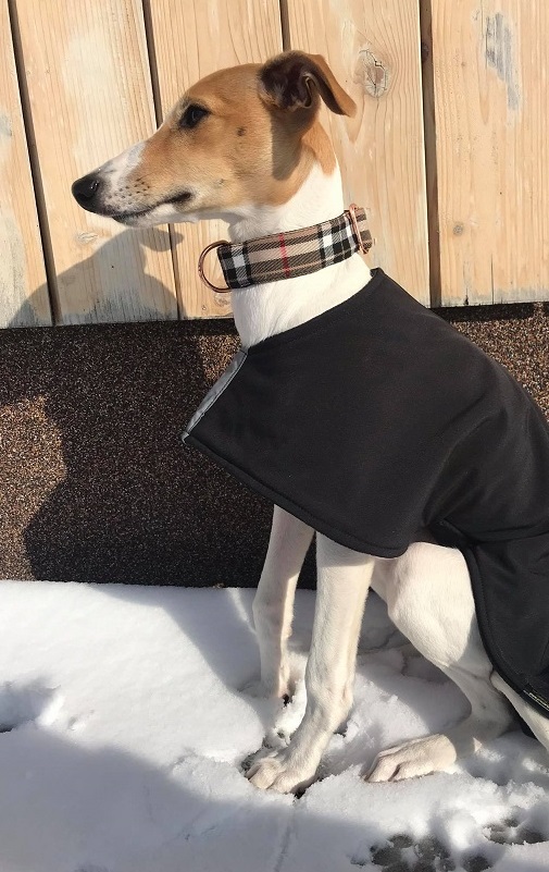 Náhled ProChrta.cz Softshellový kabátek CLASSIC 100 cm