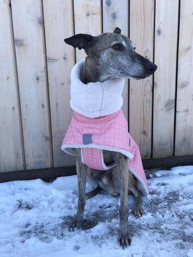 Náhled ProChrta.cz BUNDA ZIMNÍ PROŠEV BIBI 35 cm