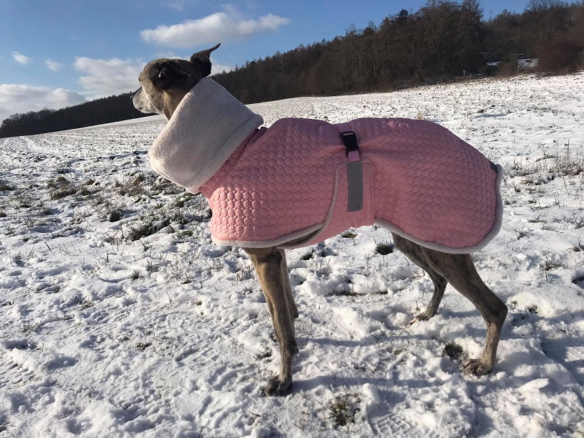 Náhled ProChrta.cz BUNDA ZIMNÍ PROŠEV BIBI 40 cm