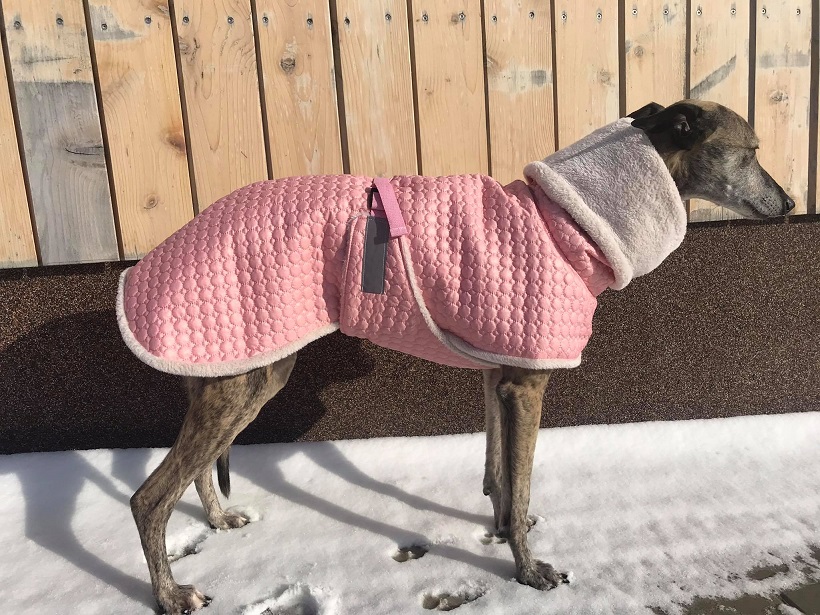 Náhled ProChrta.cz BUNDA ZIMNÍ PROŠEV BIBI 50 cm