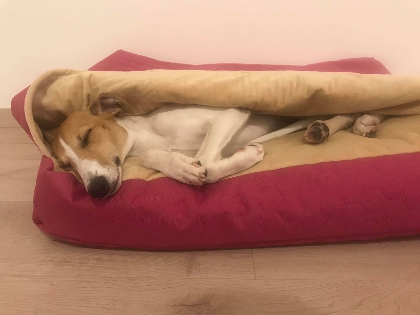 Náhled ProChrta.cz TEMPLE PINK vel. S