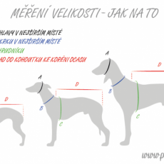 Náhled ProChrta.cz Semišový obojek DI MATTEO 3 cm M