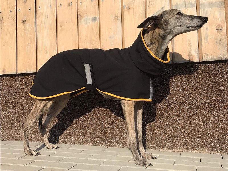 Náhled ProChrta.cz Pláštěnka softshellová Fantasy Mustard