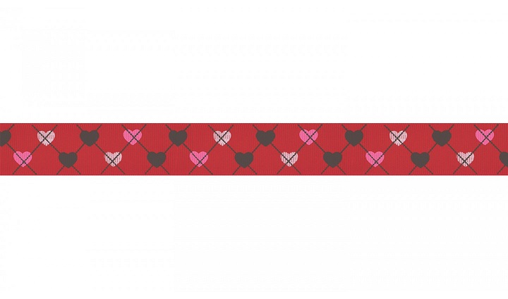 Náhled ProChrta.cz Štěněčí set obojek + vodítko PUPPY 4 cm S