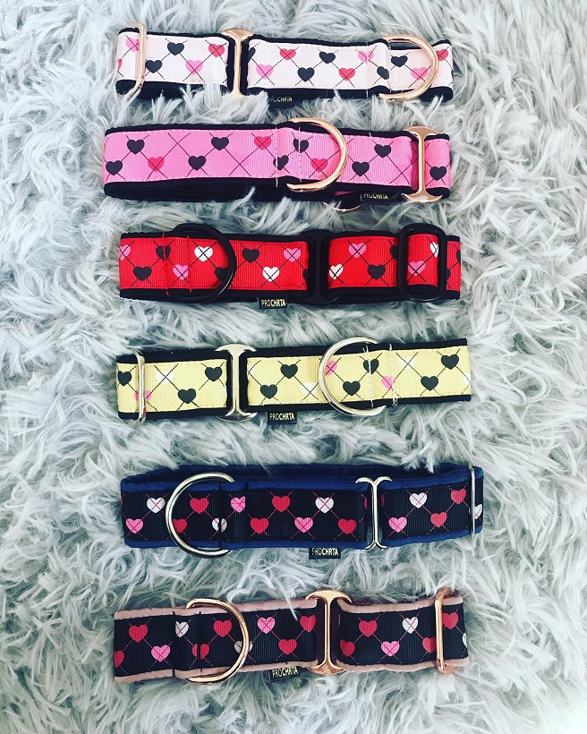 Náhled ProChrta.cz Štěněčí set obojek + vodítko PUPPY 4 cm S