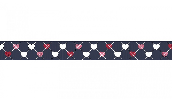 Náhled ProChrta.cz Štěněčí set obojek + vodítko PUPPY 3 cm S