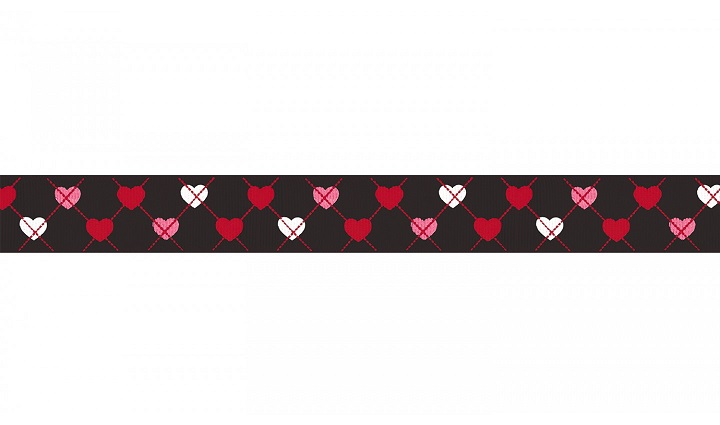 Náhled ProChrta.cz Štěněčí set obojek + vodítko PUPPY 4 cm M