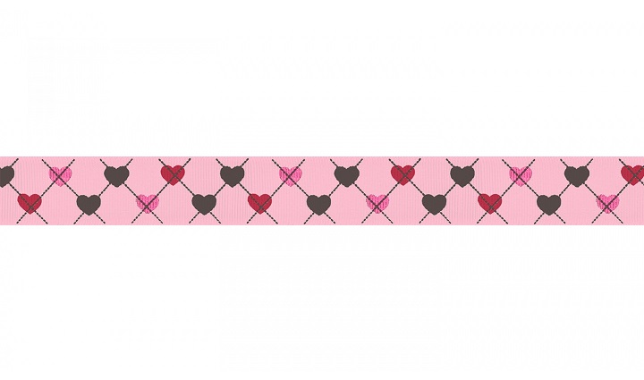 Náhled ProChrta.cz Štěněčí set obojek + vodítko PUPPY 5 cm M